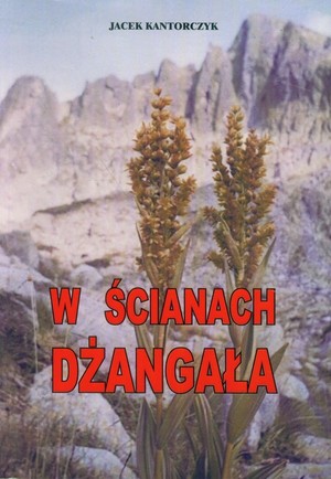 W ścianach Dżangała