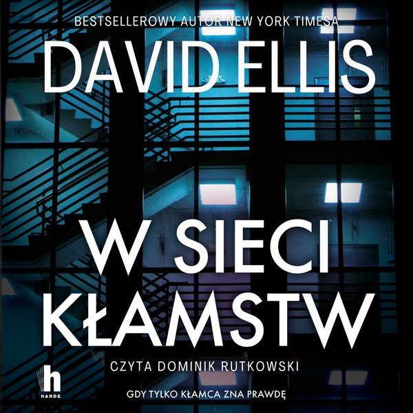 W sieci kłamstw - Audiobook mp3