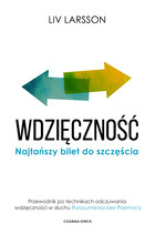 Wdzięczność - mobi, epub Najtańszy bilet do szczęścia