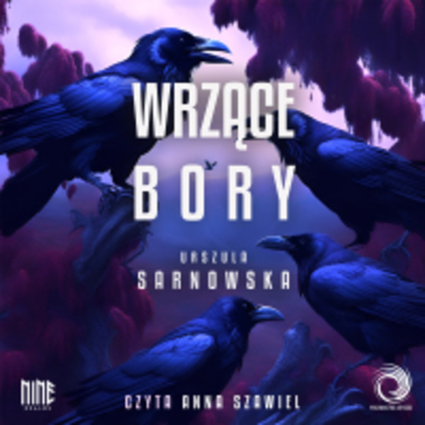 Wrzące Bory - Audiobook mp3