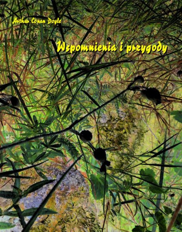 Wspomnienia i przygody - mobi, epub