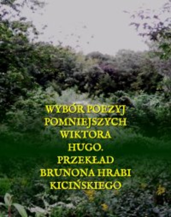 Wybór poezyj pomniejszych Wiktora Hugo - mobi, epub