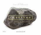 Z procą na olbrzyma Lekcje Dawida - Audiobook mp3