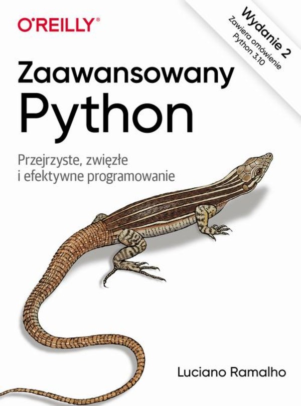 Zaawansowany Python, wyd. 2. - epub, pdf