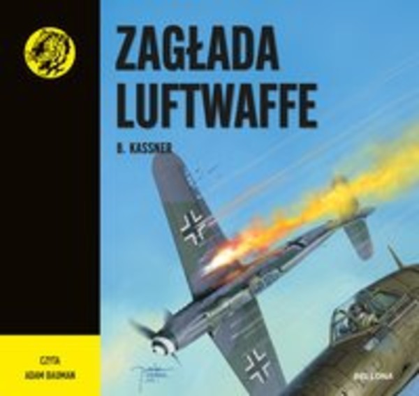 Zagłada Luftwaffe - Audiobook mp3