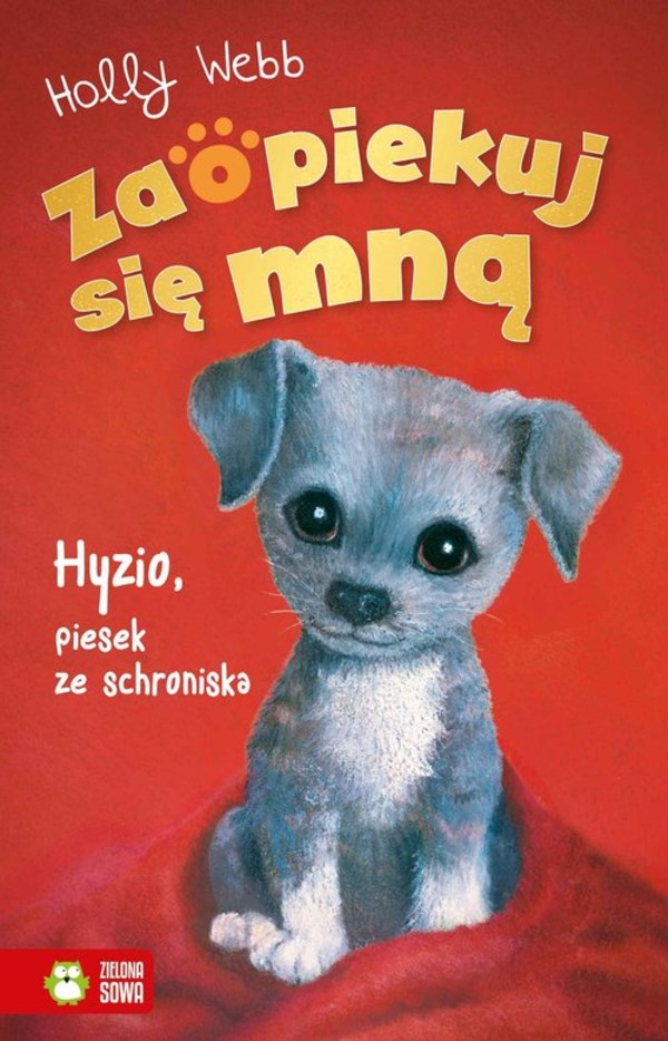 Hyzio, piesek ze schroniska Zaopiekuj się mną