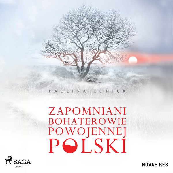 Zapomniani bohaterowie powojennej Polski - Audiobook mp3