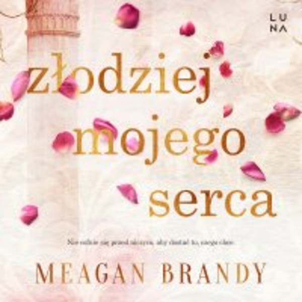 Złodziej mojego serca - Audiobook mp3