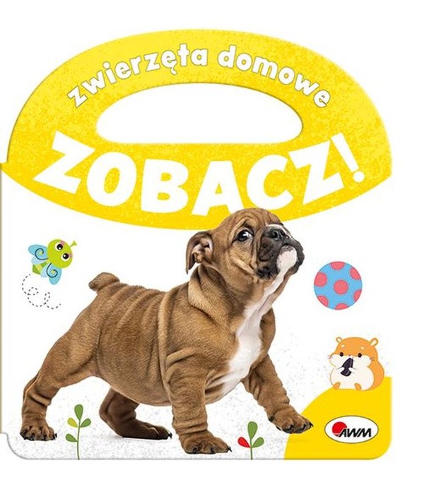 Zwierzęta domowe Zobacz!