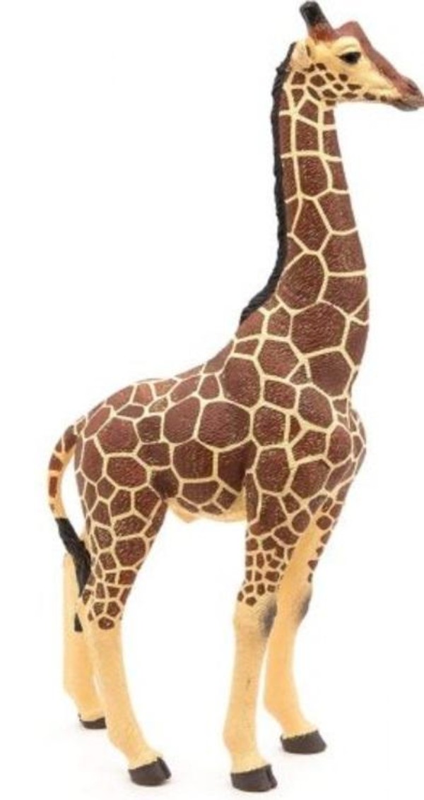Figurka Żyrafa samiec